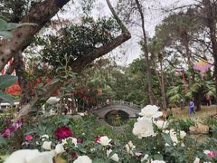 -人民公园(罗湖区)