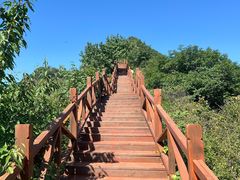 -大岭沟猕猴桃谷风景区