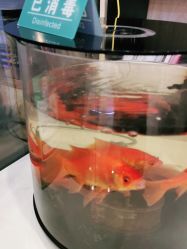 -奥本瑜伽·普拉提
