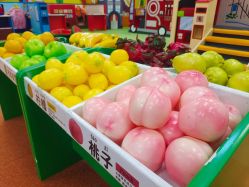-莫莉幻想儿童乐园(哈尔滨王府井店)