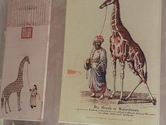 -北京动物园-畅观楼