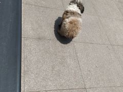 -陇南批发市场