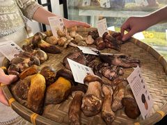 -滇野云南野生菌餐厅(陕西南路店)