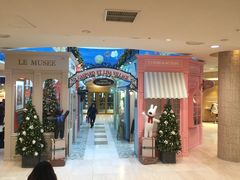-乐天免税店(明洞店)
