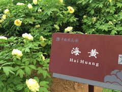 -西工饭庄快餐厅(西工小街店)
