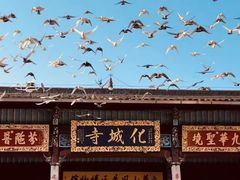 -九华山风景区