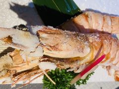 -森味薪火烧•烧鸟居酒屋•日本料理(望京店)