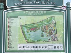 -荷兰花海