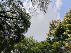 -上海吴淞炮台湾国家湿地公园