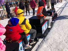 -绿野森林乐园冰雪季