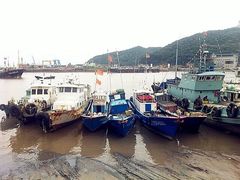 -沈家门渔港