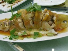 清蒸阳关金鳟鱼-老许家正宗驴肉黄面胡羊焖饼·烧烤(名吃广场店)