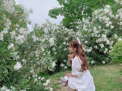 -灞河西岸滨河公园