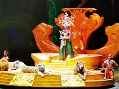 -广州长隆国际大马戏