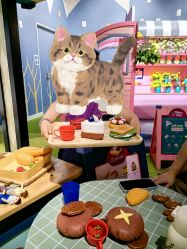 -幻贝家儿童乐园(苏州中心店)