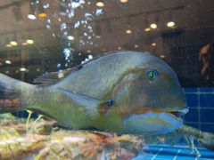 -海味世家·家常菜馆(明州里店)