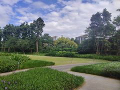 -瑰丽酒店·海吧·天际下午茶·现场DJ·天台酒吧