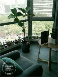 -L.MJ轻奢皮肤管理中心