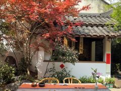 -古今茶语·峨眉山有机茶体验馆