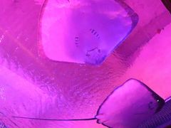 -波塞冬旅游度假区