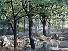 -石家庄市动物园