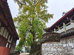 -金堂县云顶石城风景区