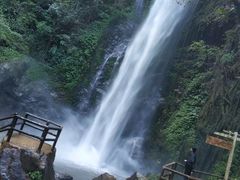 -莫里热带雨林景区