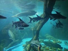 -多彩贵州城极地海洋世界