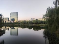 -大兴滨河森林公园