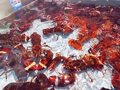 -云天楼国鼎喜宴中心(国鼎店)
