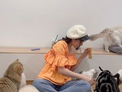 -有喵·猫咖·狗咖·30几只猫10只小狗(岗厦店)