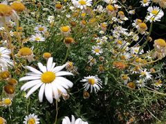 -昆山城市生态森林公园