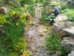 -东莞植物园