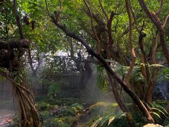 -Chom Cafe and Restaurant