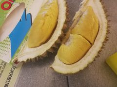 -都念榴莲·城市榴莲