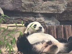 -石家庄市动物园