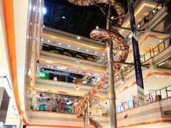-巴黎春天(浦建店)