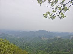 -六里坪国家森林公园