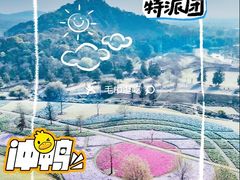 -上海辰山植物园