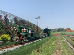 -苏州太湖西山岛开心农场