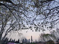 -伊势丹(现代城店)