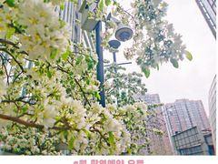 -星巴克(北京中关村南大街店)