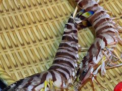 -鲜入围煮花胶鸡海鲜火锅