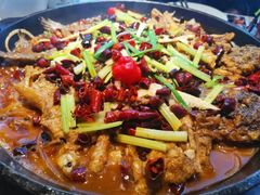 -老板恋上鱼(恒隆广场店)