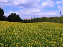 -长白岛森林公园