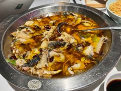 水煮鮰鱼三斤-新沸腾鱼乡(世贸天阶店)