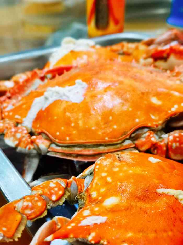 兴城小海鲜-"没想到在家门口有一家小神店,晚上路过几次.