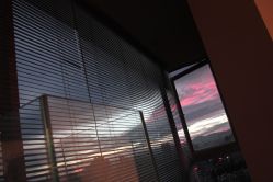 -白泽刺青纹身