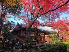 -常寂光寺