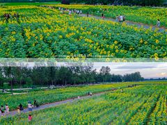 -汉长安城未央宫国家考古遗址公园